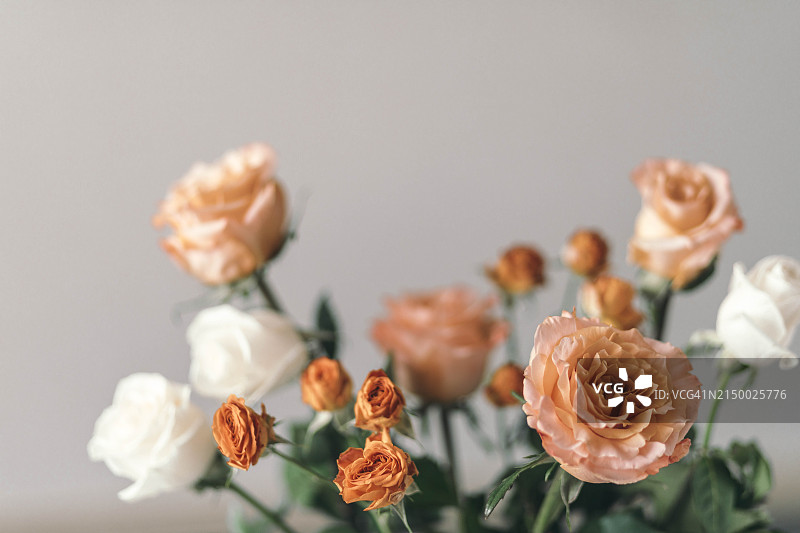 白色背景下的鲜花特写图片素材