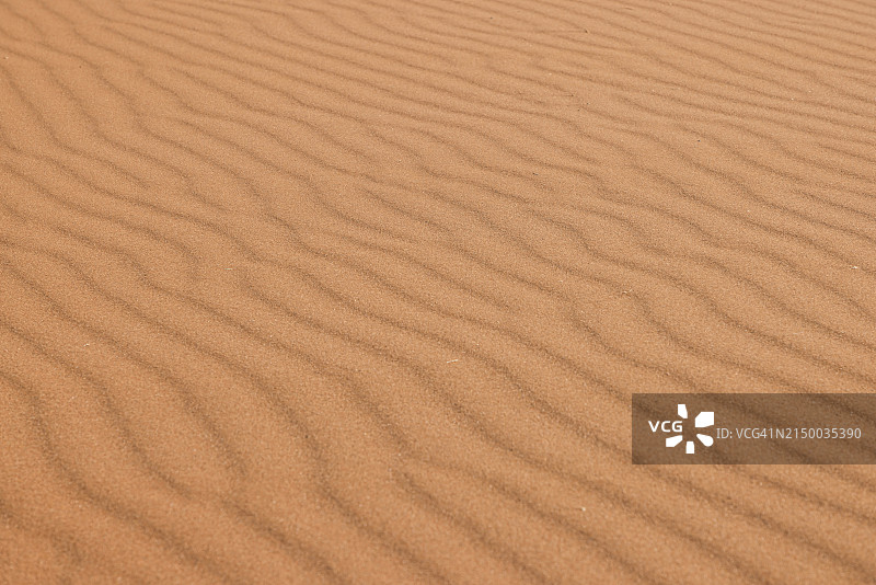 沙丘全画幅照片图片素材