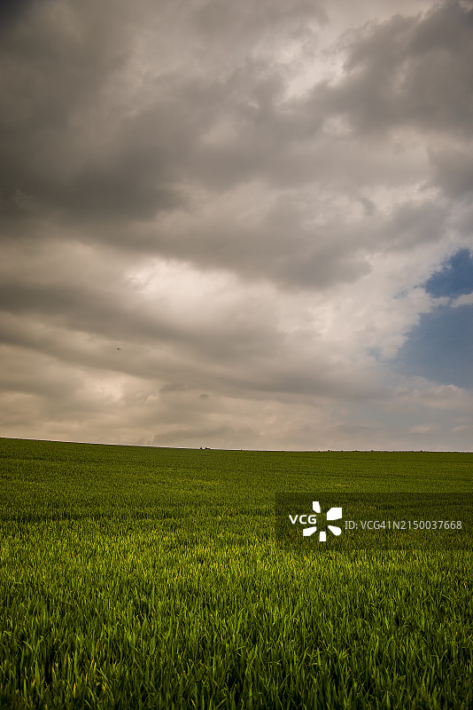 英国肯特的田野风光图片素材