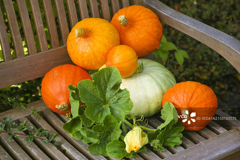 木制长椅上的北海道南瓜，橘红色圆南瓜，南瓜花，树叶，水果蔬菜，健康静物，秋季美食，德国，欧洲图片素材