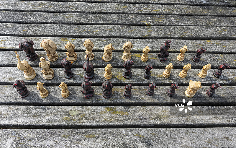 描绘成动物的各种棋子图片素材