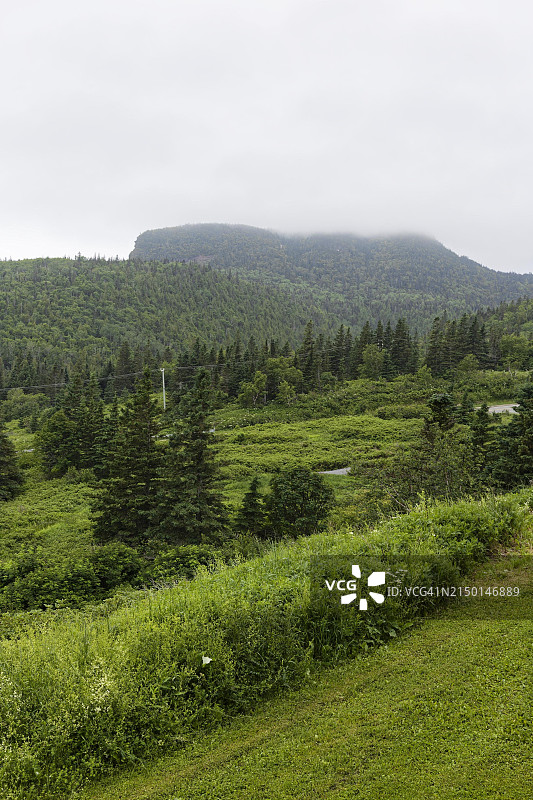 加拿大魁北克省加斯佩半岛的林地景观图片素材