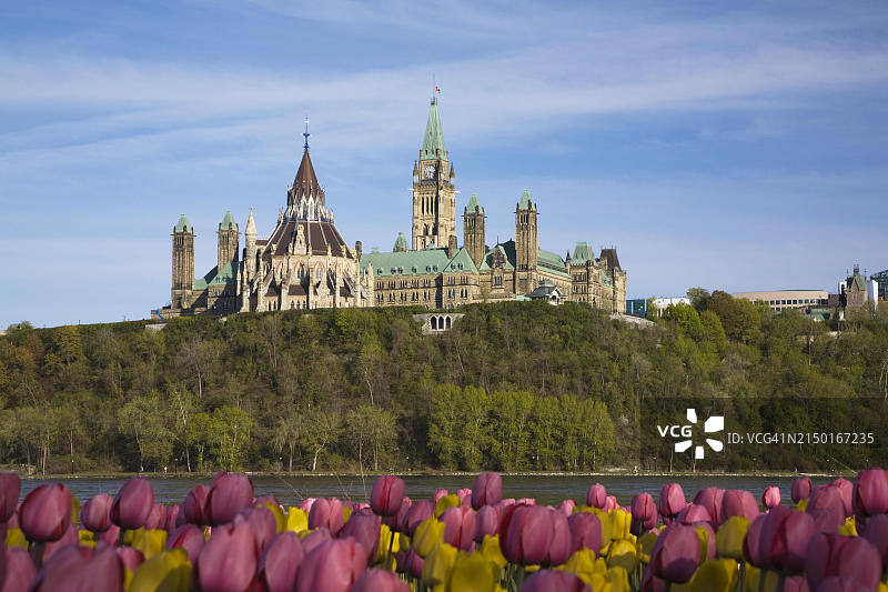 粉色和黄色郁金香花坛,加拿大议会大厦和渥太华河,春季,渥太华,安大略省,加拿大,北美洲图片素材