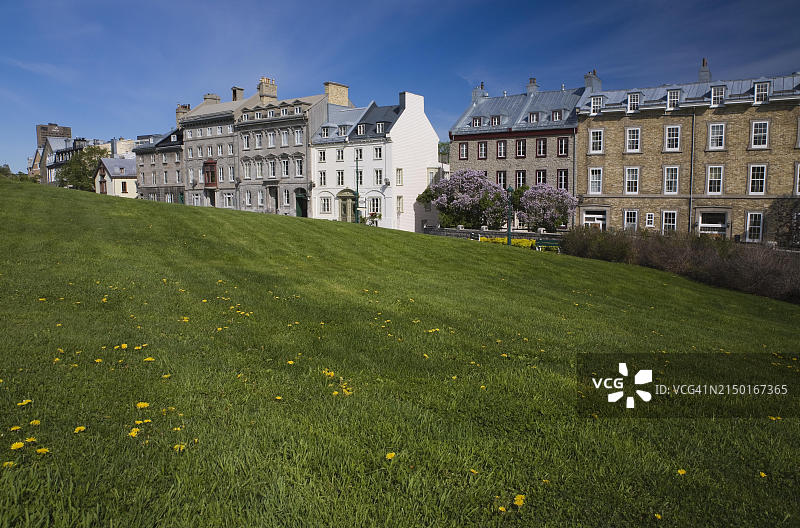 加拿大魁北克市圣丹尼斯大街上的历史建筑与蒲公英草地图片素材