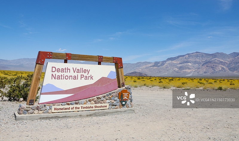 旅游目的地：死亡谷国家公园超级盛开图片素材