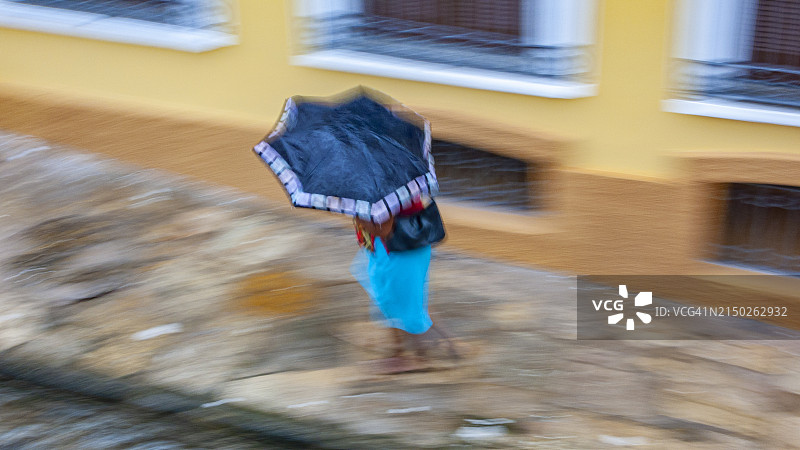 巴西热带雨林图片素材