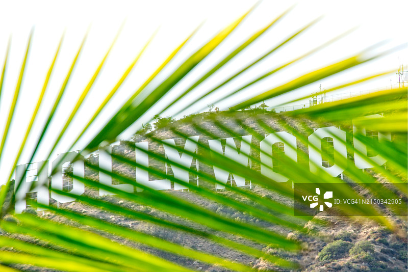 洛杉矶好莱坞标志图片素材