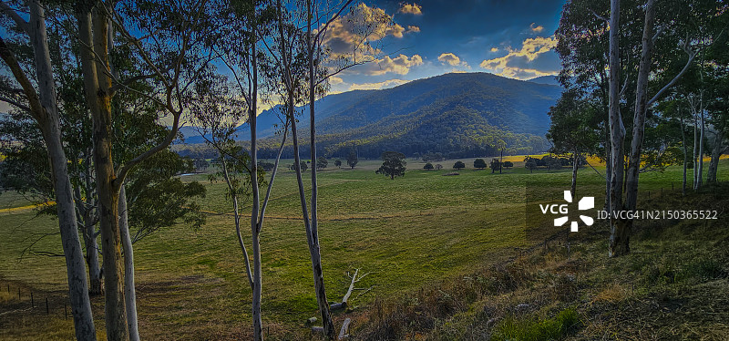 秋季在澳大利亚维多利亚州默特尔福德附近维多利亚高地跑马地观景点图片素材
