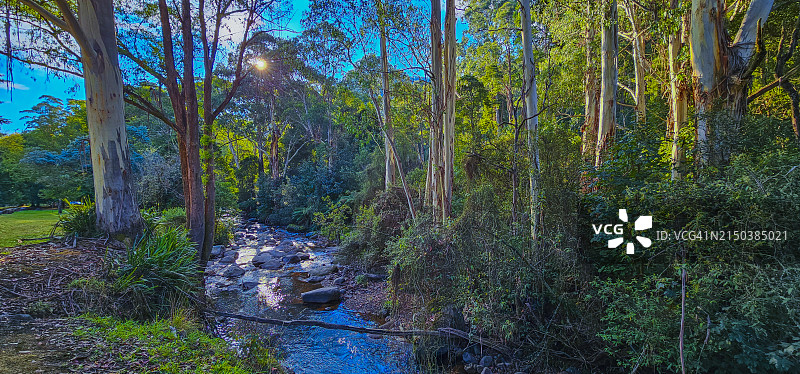 澳大利亚维多利亚州布勒山附近德拉泰特河图片素材
