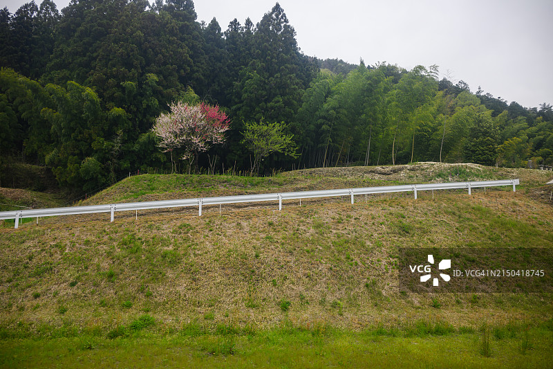 日本中部春季山坡图片素材