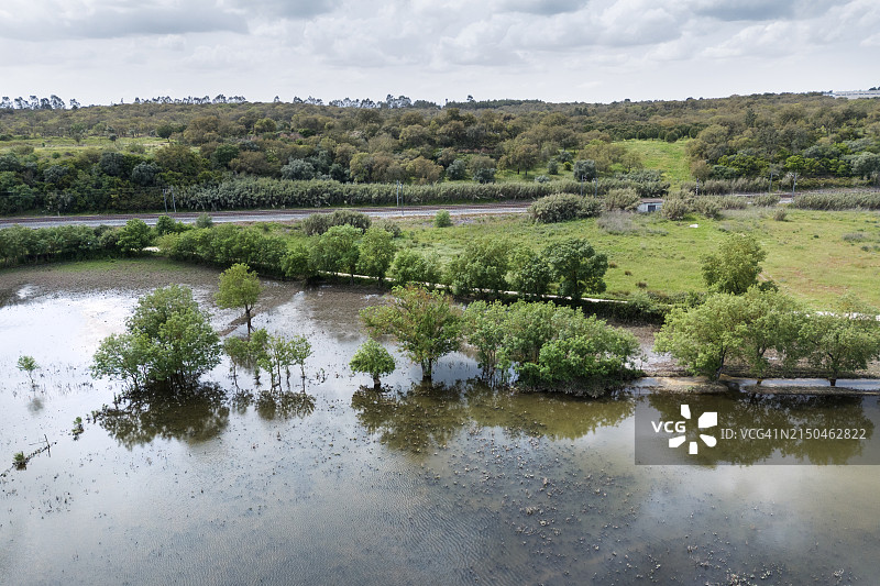 美丽的特茹湿地鸟瞰图片素材