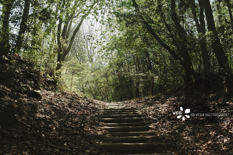 山间小径图片素材