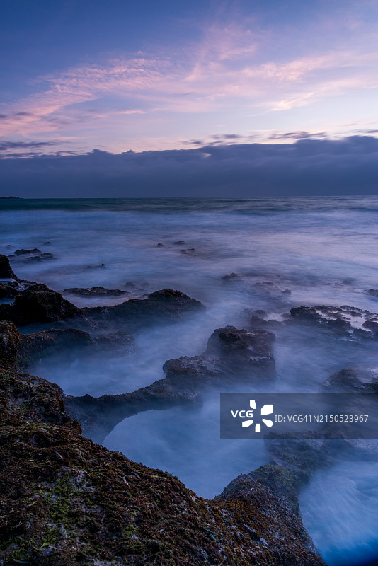 生长在古老海岸沉积岩上的绿色苔藓图片素材
