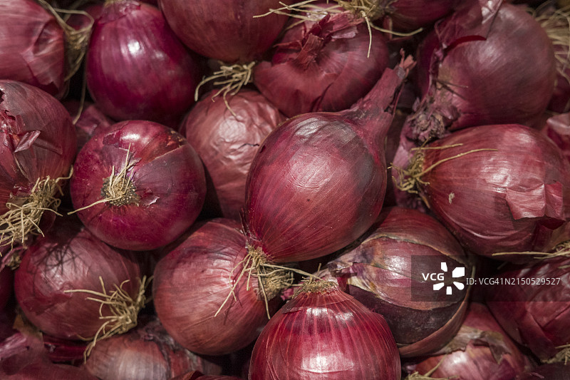 满画幅红洋葱图片素材