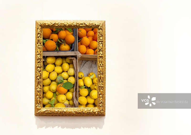 水果图图片素材