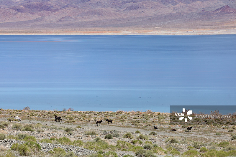 旅行目的地：内华达州的沃克湖图片素材