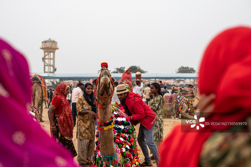 普什卡集市图片素材