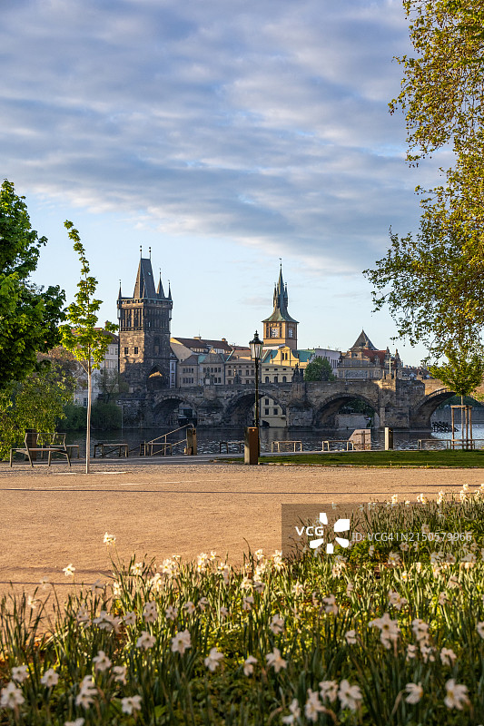 春日布拉格查理大桥和河畔盛开的鲜花图片素材