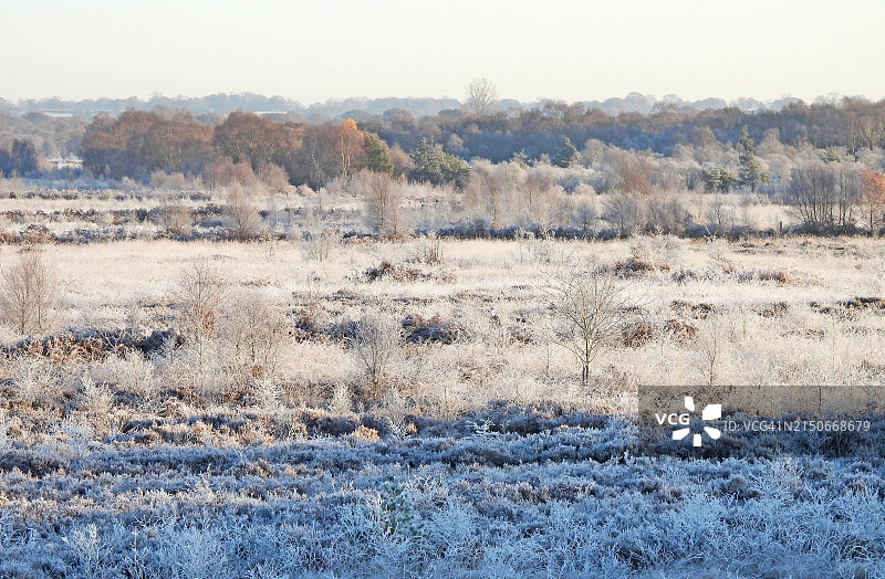 芬恩沼泽上的厚霜图片素材
