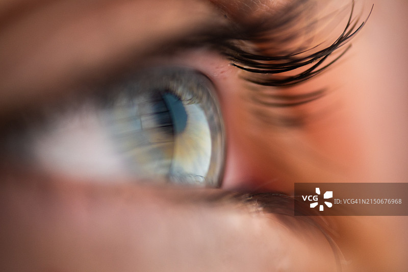 眺望远方图片素材