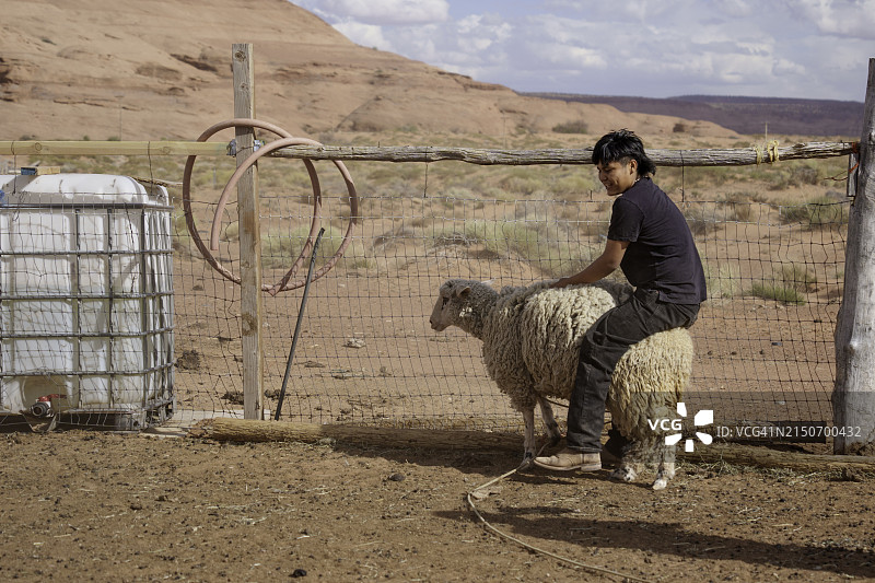 在亚利桑那州纪念碑谷家庭牧场围栏里套羊和摔跤的14岁纳瓦霍族男孩图片素材