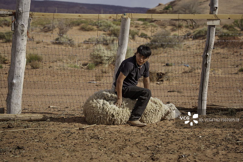 在亚利桑那州纪念碑谷家庭牧场围栏里套羊和摔跤的14岁纳瓦霍族男孩图片素材