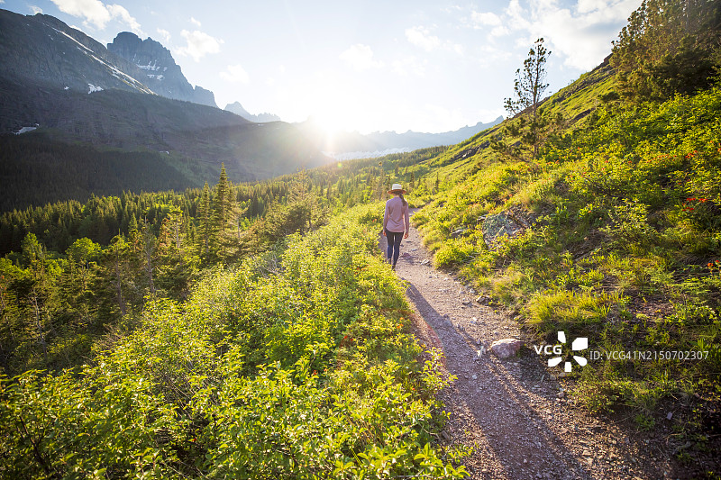 年轻女子在冰川国家公园徒步旅行图片素材