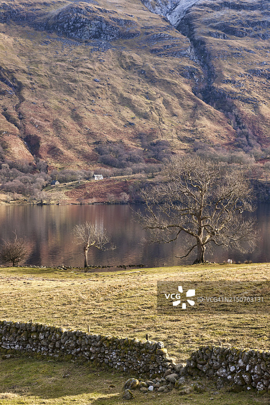 冬季棕色调的洛蒙德湖和本尼维斯山，因弗贝格，洛蒙德湖，阿盖尔-比特，苏格兰，英国图片素材