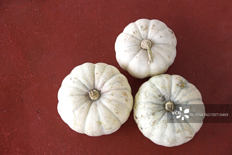 迷你白色南瓜/小 boo 南瓜图片素材