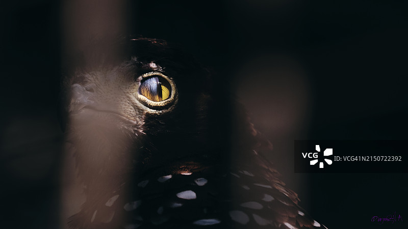 女人看向远方的特写图片素材