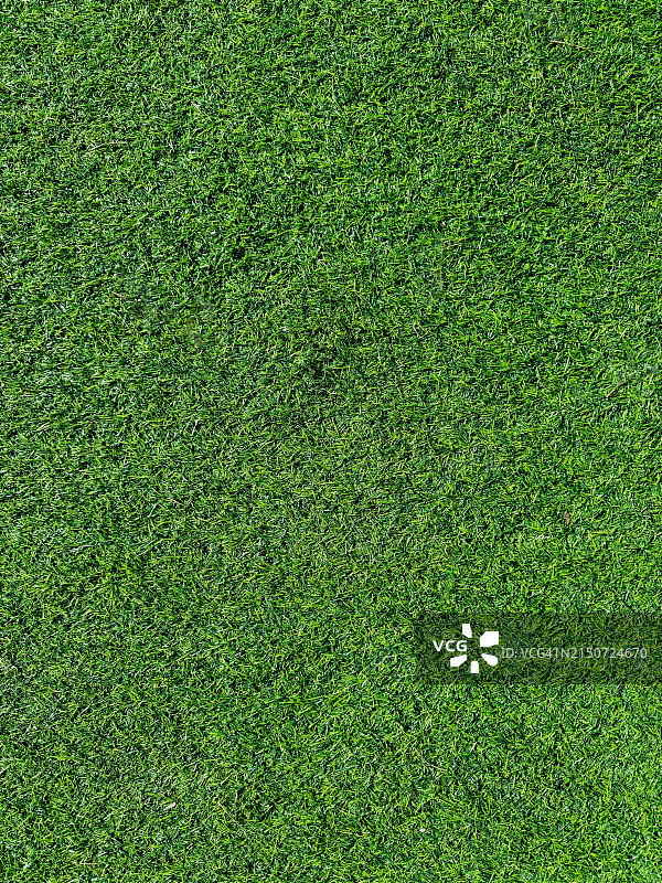 绿色草坪特写，顶视图图片素材