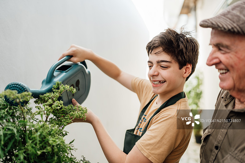 孙子为爷爷浇花图片素材