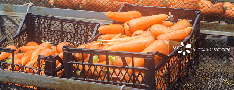 烧烤架上的蔬菜俯视图图片素材