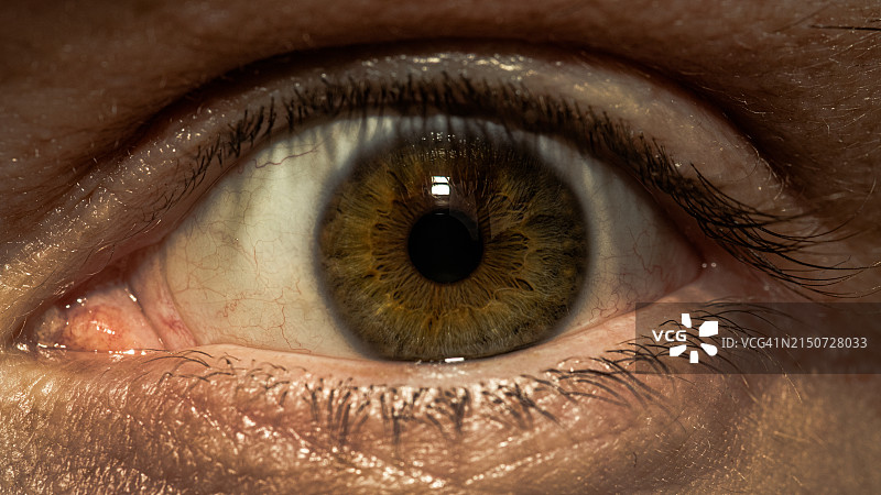 人眼特写图片素材