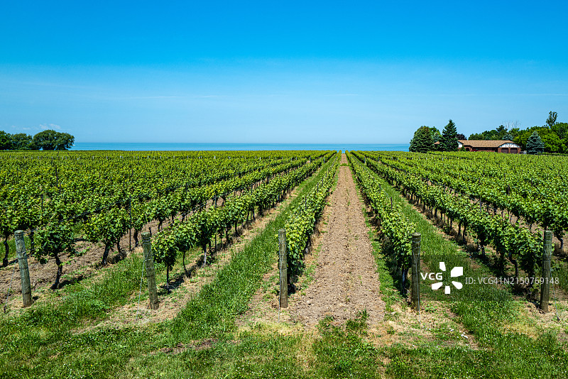Konzelmann酒庄图片素材