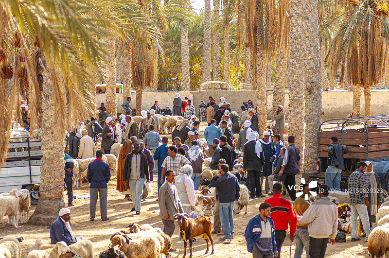 突尼斯杜兹日常集市图片素材