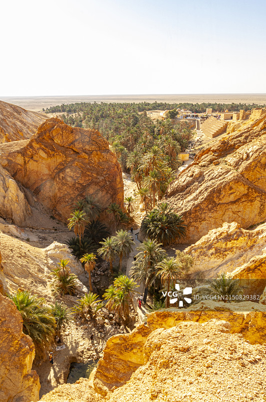 突尼斯舍比卡山绿洲图片素材