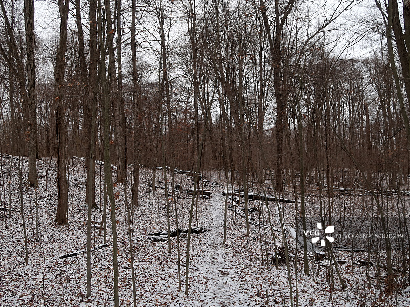 冬季森林中被冰雪覆盖的狭窄徒步小路图片素材