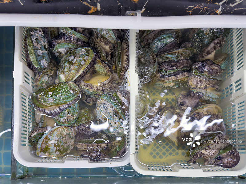 韩国市场上的养殖鲍鱼图片素材