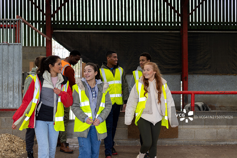 在动物围栏里努力工作图片素材