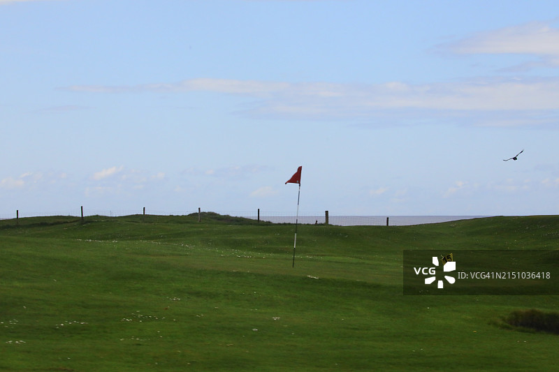 高尔夫球场旗帜标志图片素材