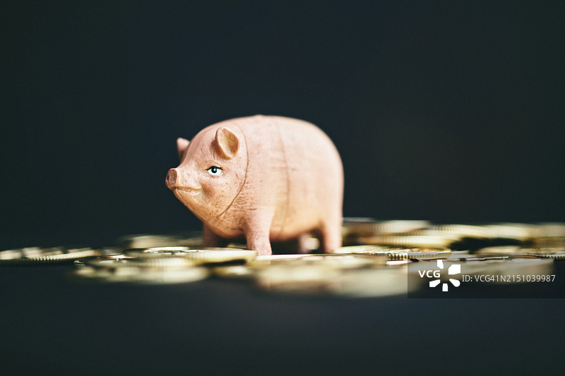 带金币的小猪图片素材