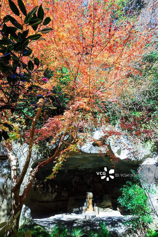 镰仓时代（12-14世纪）的古墓图片素材