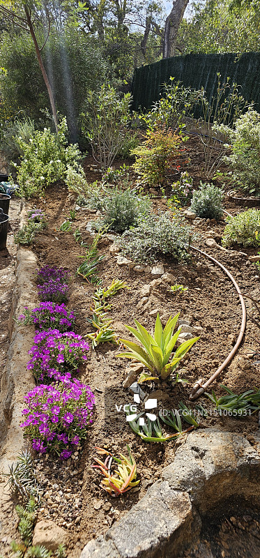 后花园景观美化图片素材