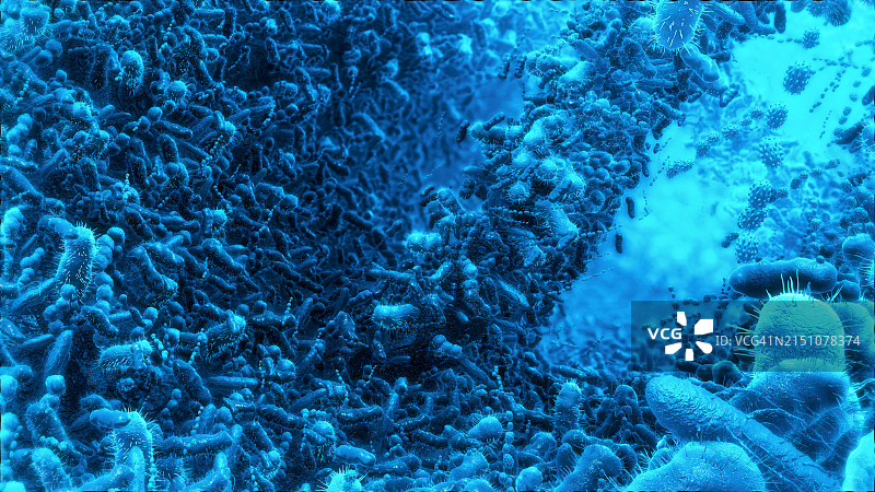 人类肠道中的细菌图片素材