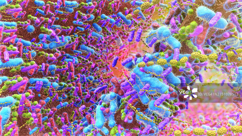 人类肠道中的细菌图片素材