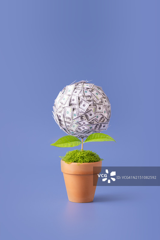 金融增长概念静物与生长中的植物图片素材