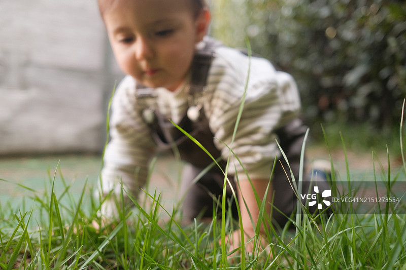 探索花园的男婴图片素材