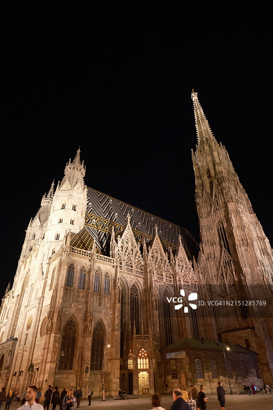 维也纳大教堂夜景局部图片素材