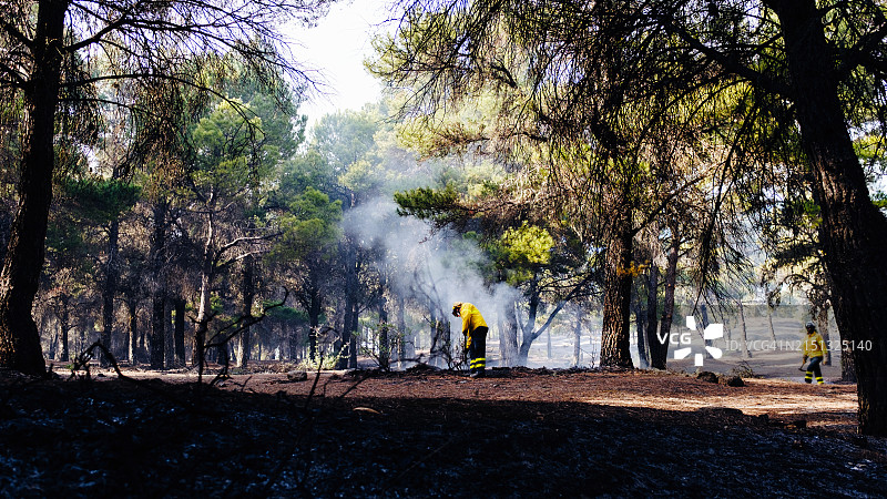 一群消防员正在努力扑灭森林火灾图片素材